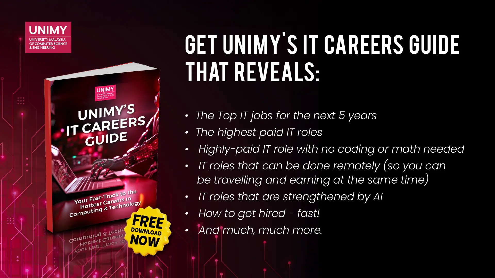 UNIMY's IT Careers Guide UNIMY's IT Careers Guide